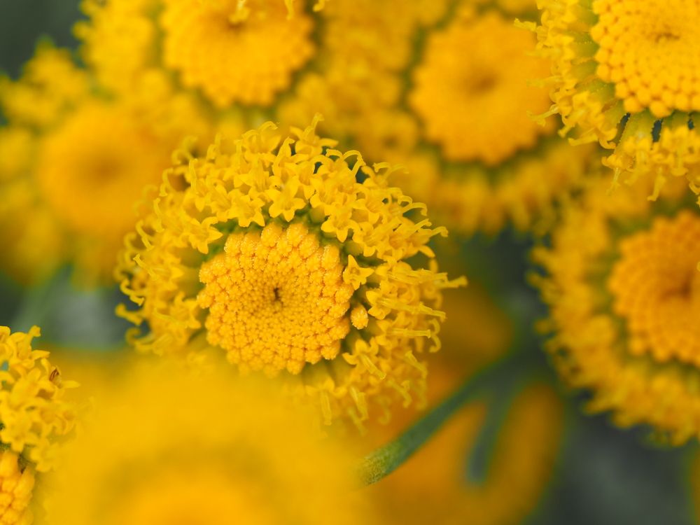 Photograph by Сергей Борисов