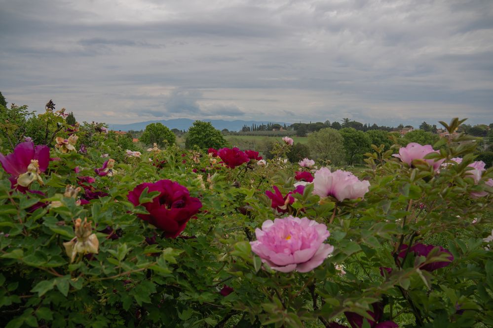 Photograph by Дария Максимова
