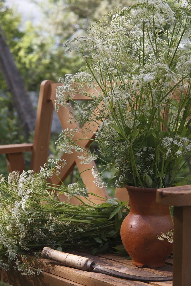 Photograph by Вера Крутилина