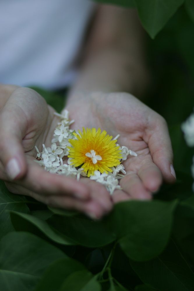 Photograph by Арина Прокшина