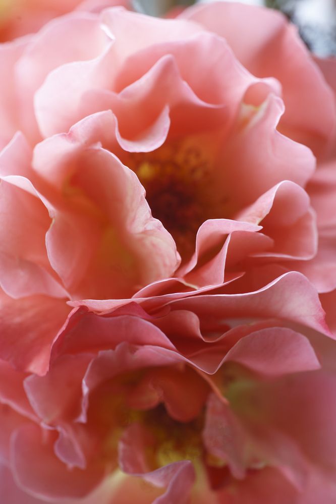 Photograph by Вера Крутилина