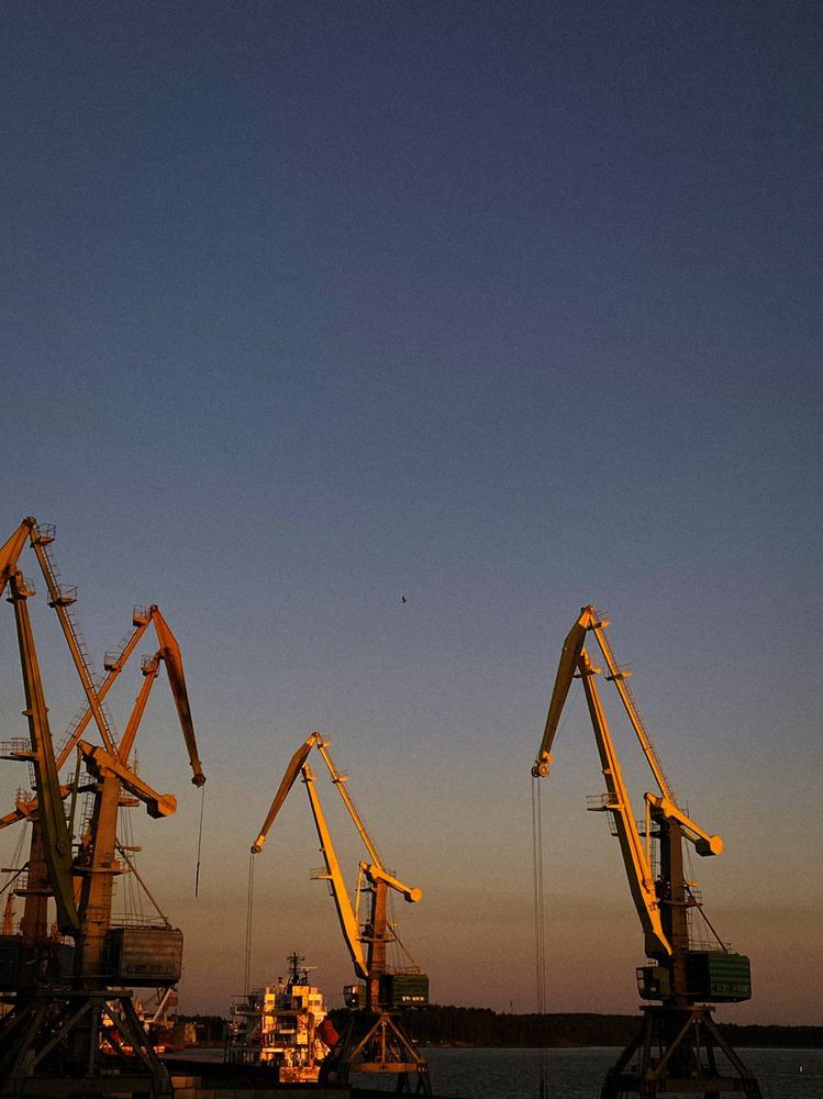 Photograph by Анастасия Гульванюк