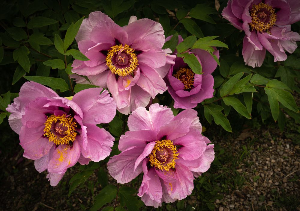 Photograph by Дария Максимова