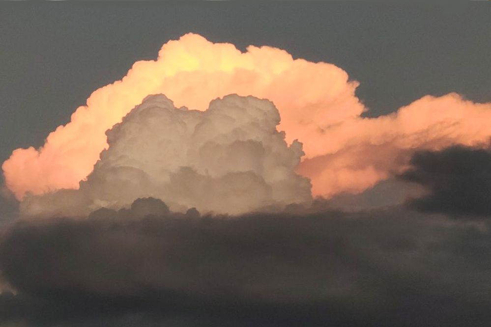 Photograph by Vy Van Bui