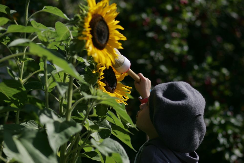 Photograph by Арина Прокшина