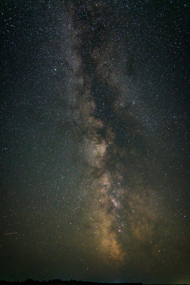 Photograph by Алина Орлова