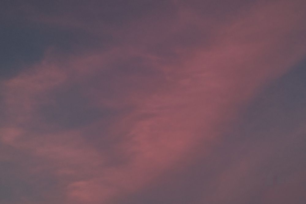 Photograph by Vy Van Bui