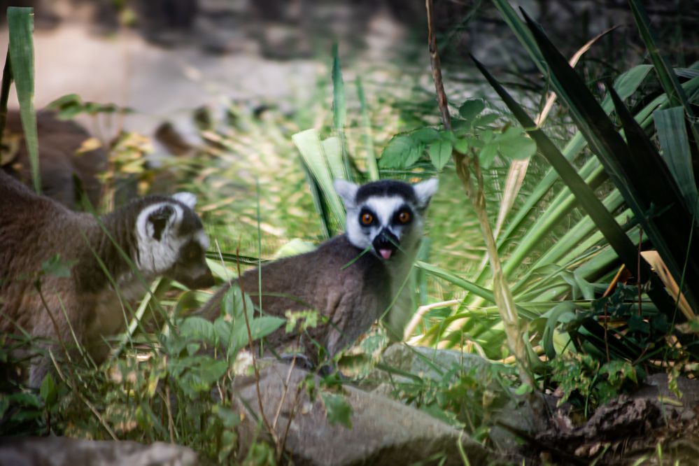 Photograph by Алина Орлова