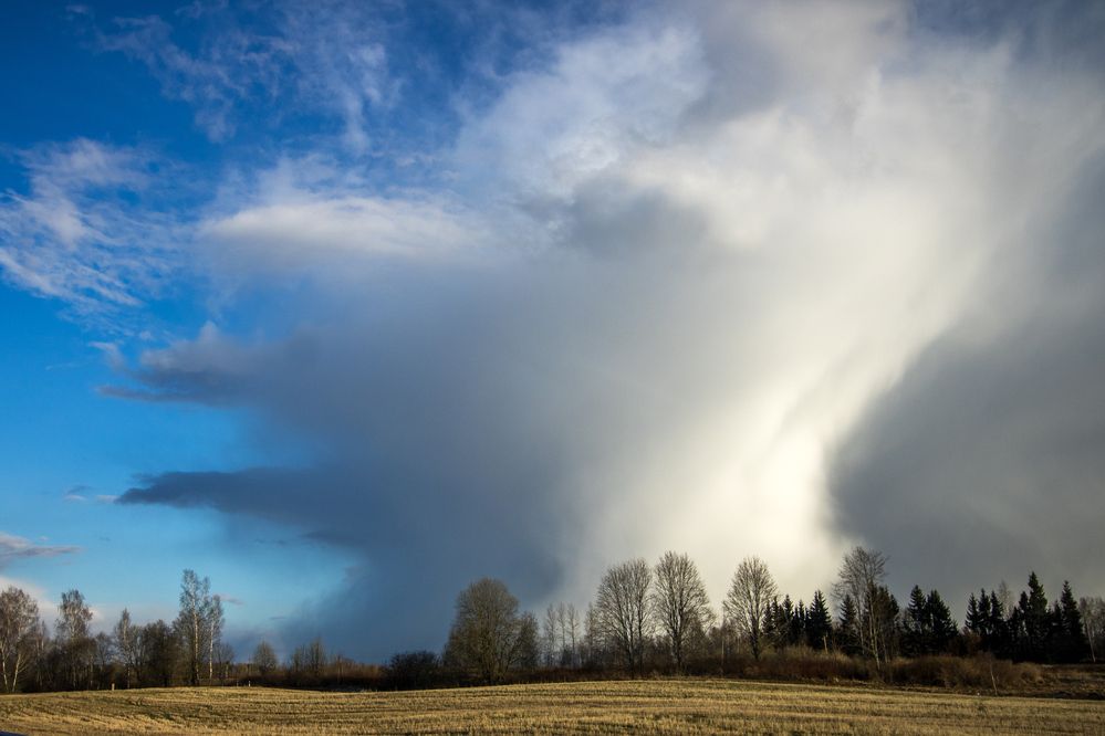 Фотография автора  Inga Ivanova APCA, EPCA, EPCA/B, P IAAP