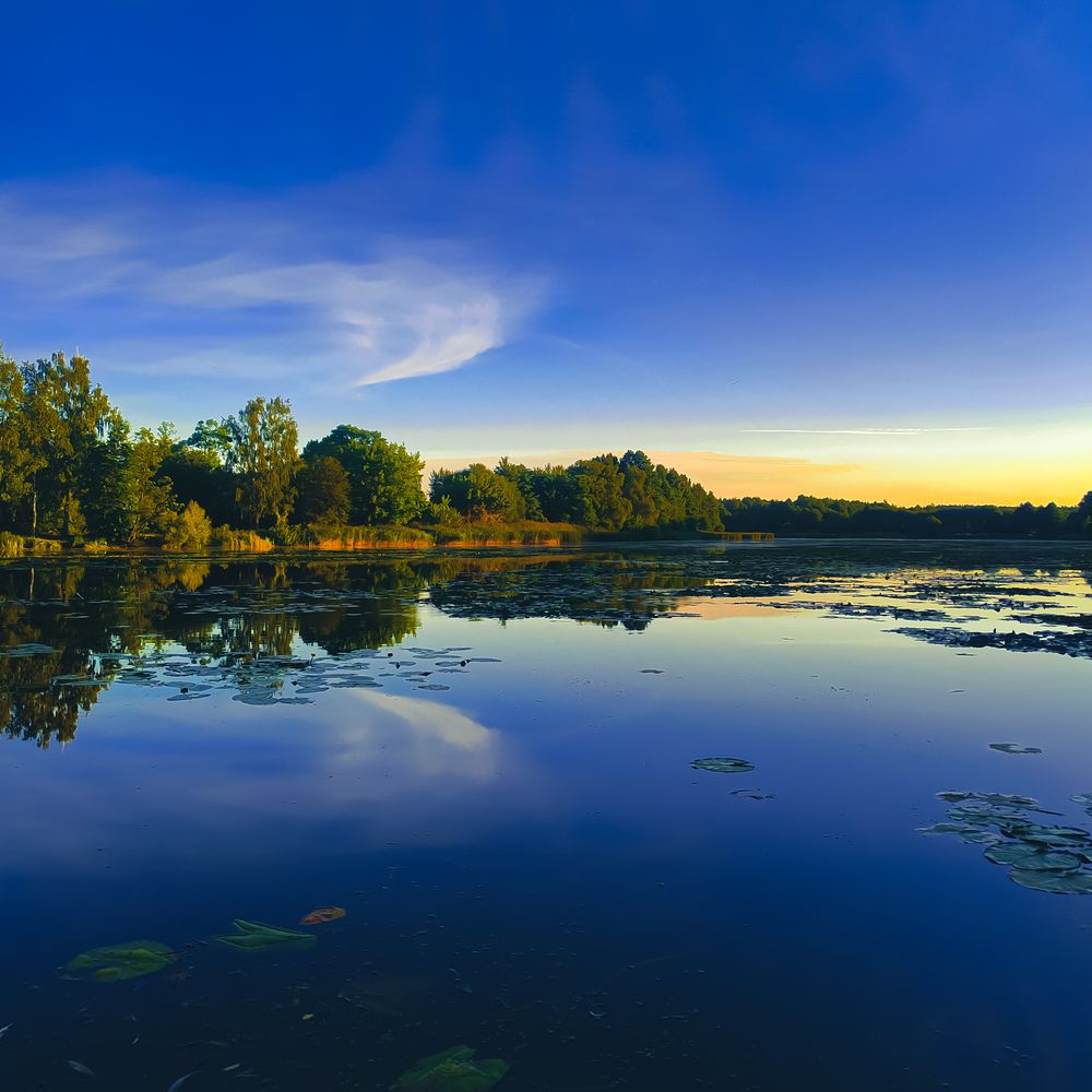 Фотография автора Вероника Летецкая
