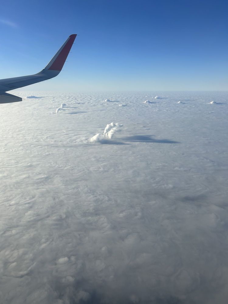 Photograph by Елена Власова