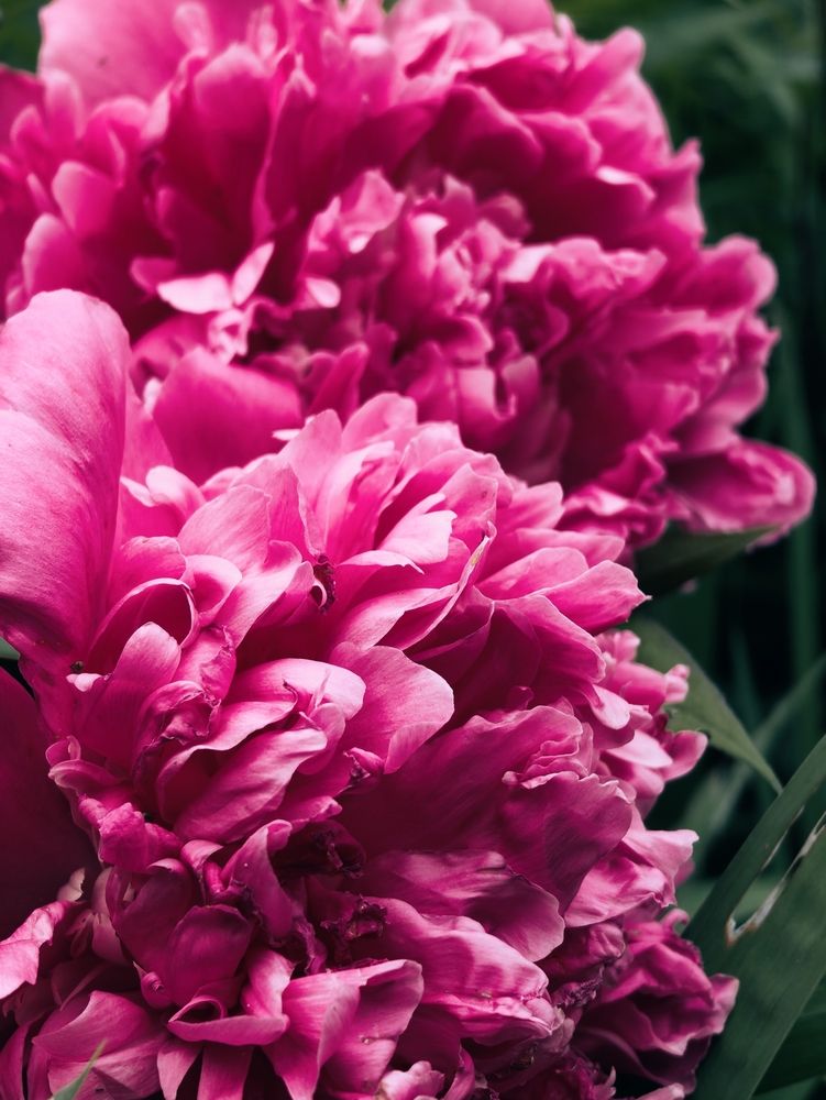 Photograph by Дарина Ворошилова