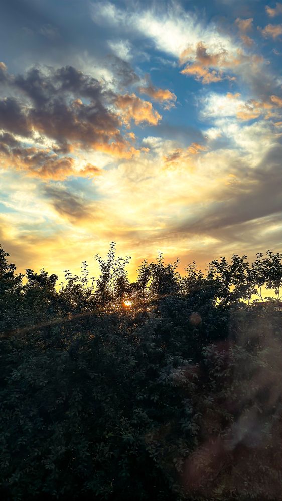 Фотография автора Елизавета Синицына