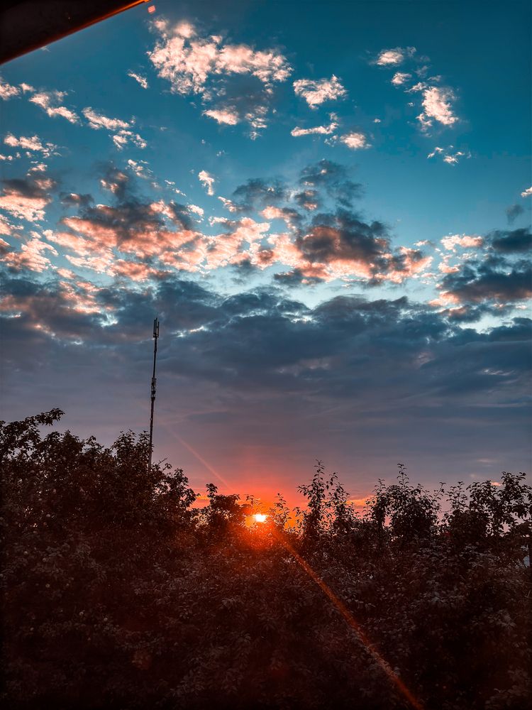 Фотография автора Елизавета Синицына