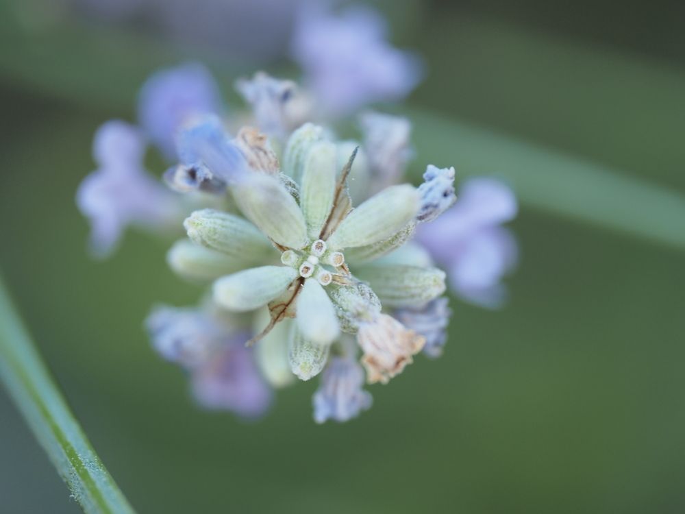 Photograph by Сергей Борисов