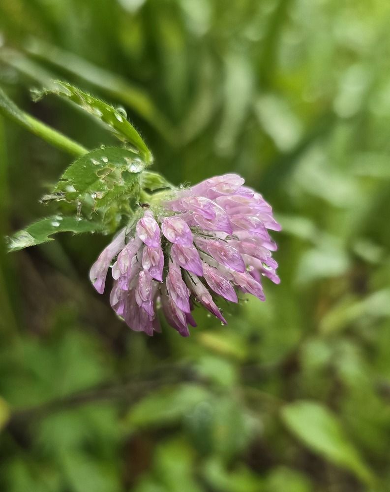 Photograph by Лариса Ким