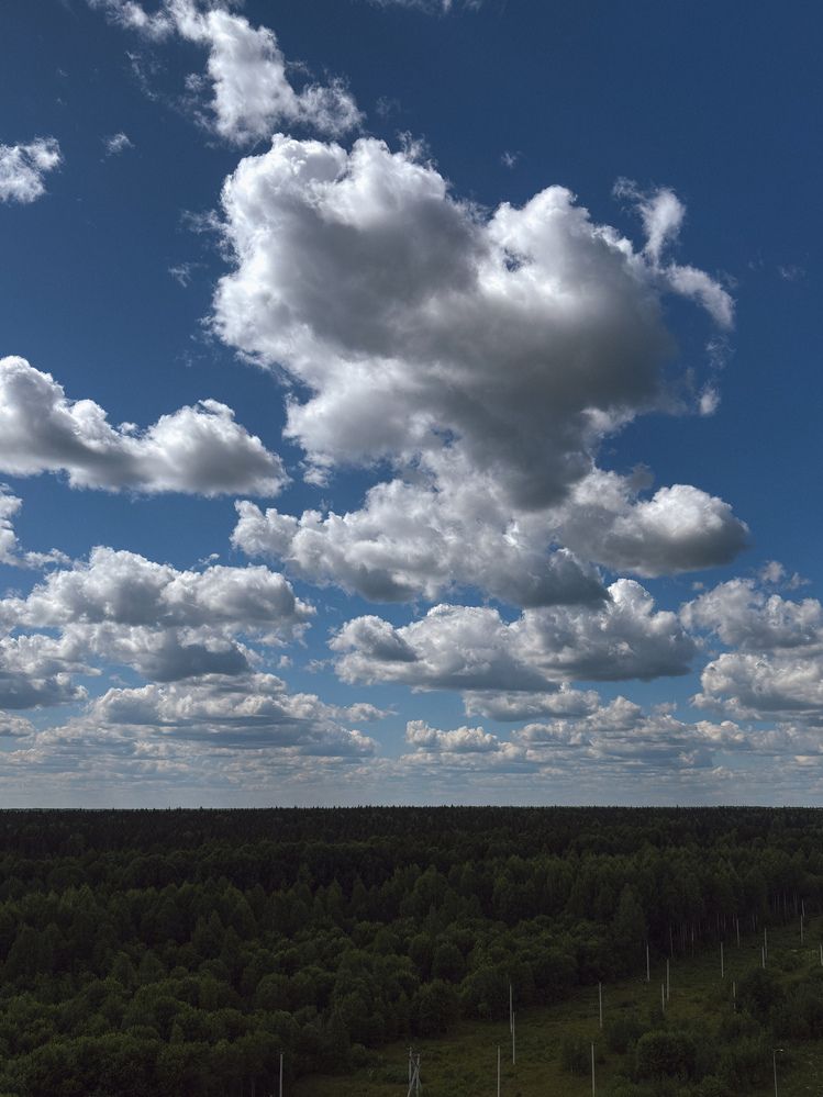 Photograph by Марина Харитонова