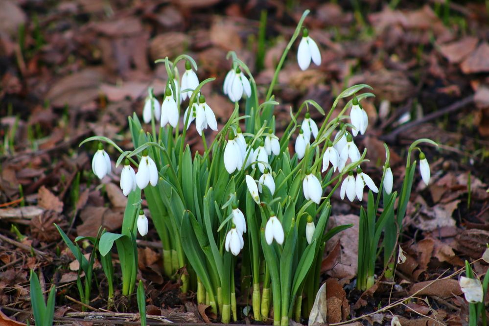 Photograph by Светлана Шуткова