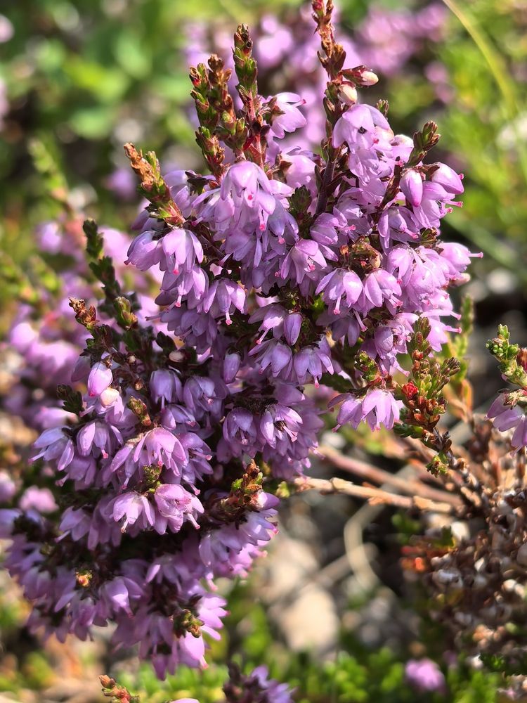 Photograph by Елена Качалина