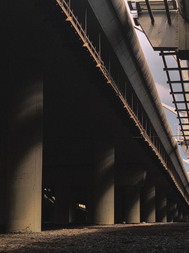 Фотография автора Анна Ворончихина