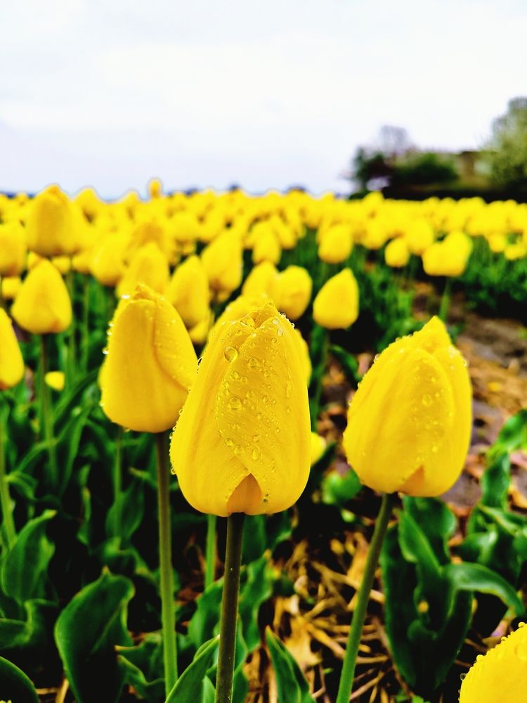 Photograph by Елена Симонова