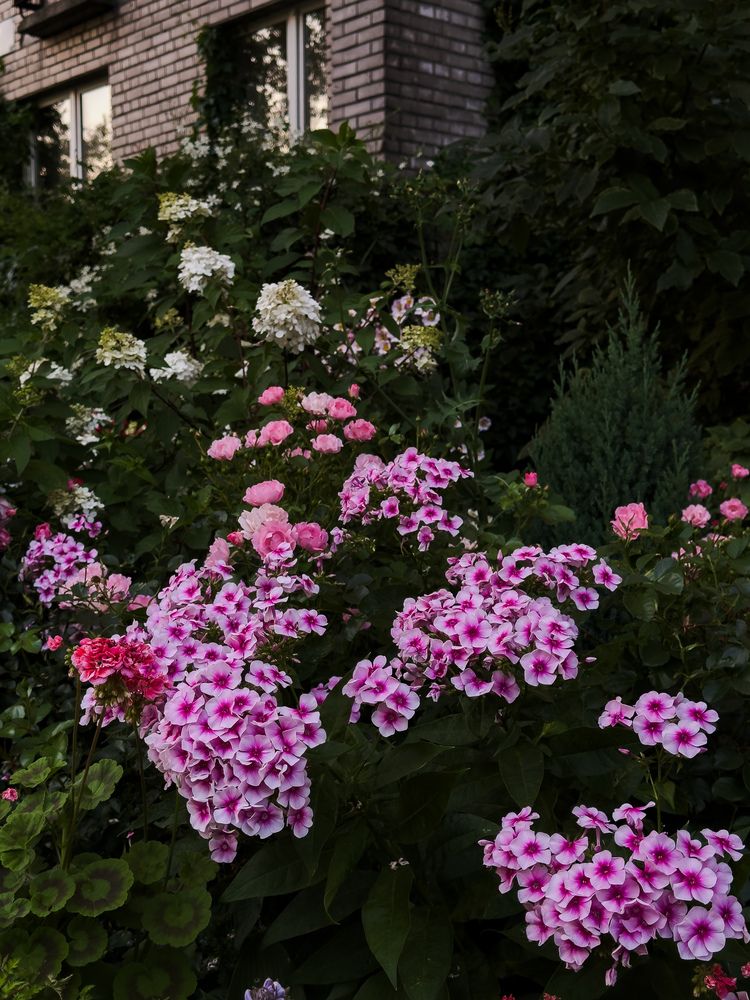 Photograph by Ася Жгенти