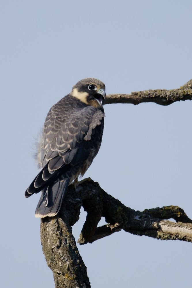 Photograph by Виктор Владимиров