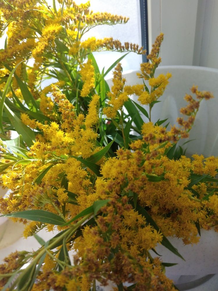 Photograph by Анна Олеговна