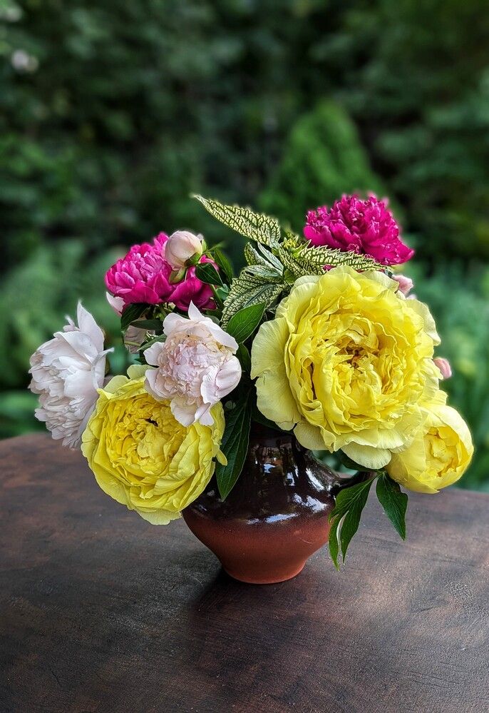 Photograph by Любовь Колмакова