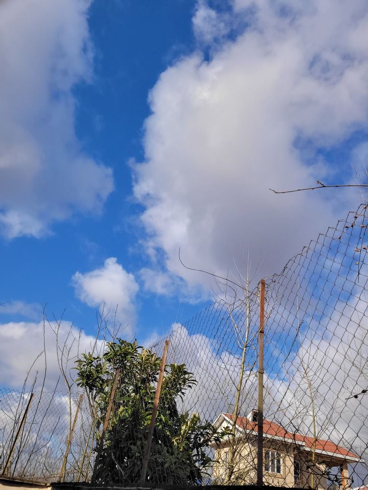 Photograph by Rahele Almassi