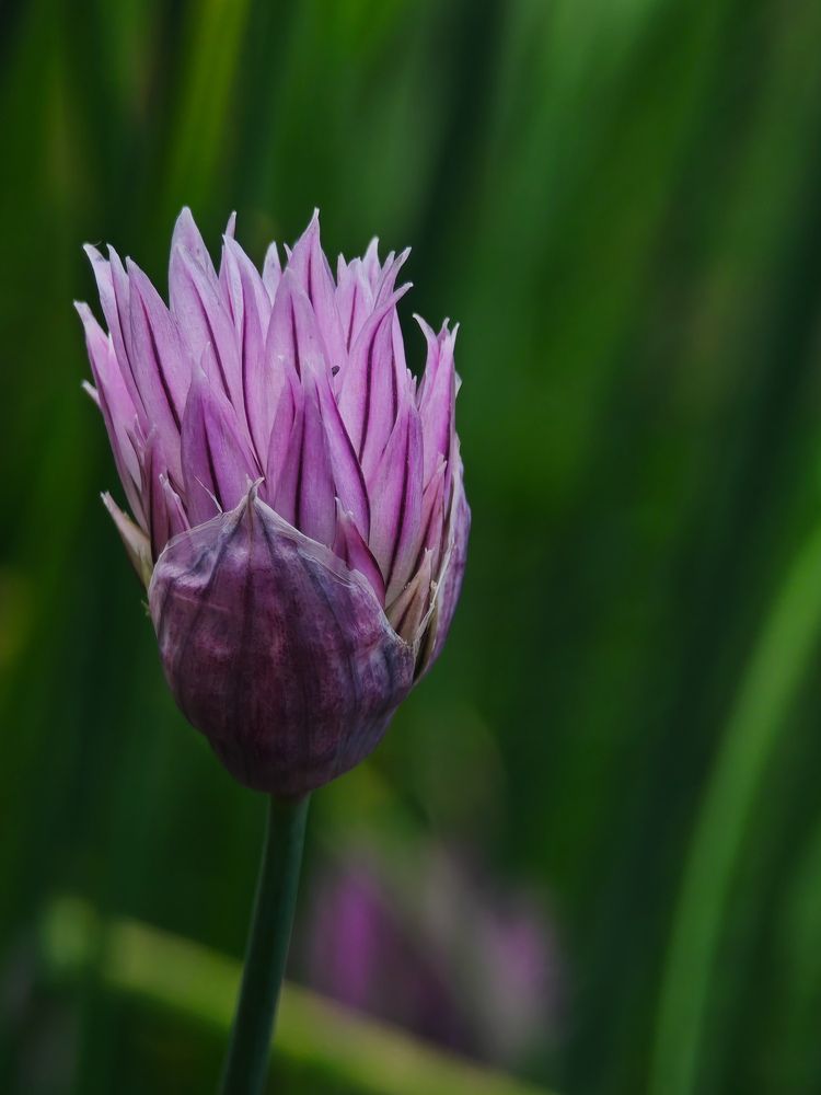 Photograph by Екатерина Кирьянова