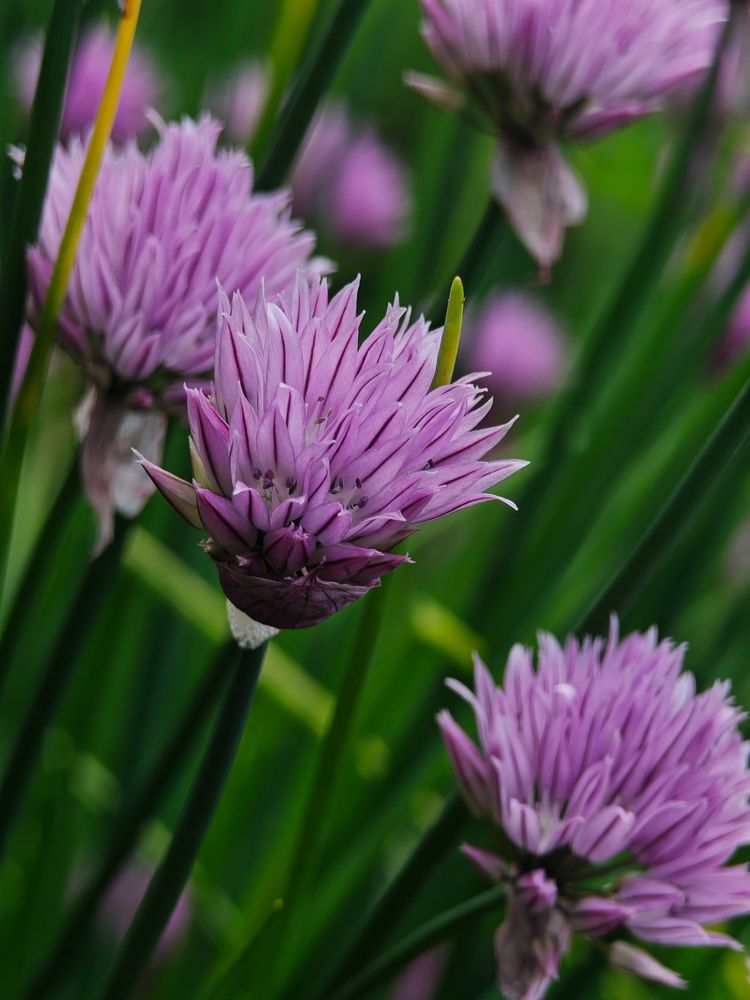 Photograph by Екатерина Кирьянова