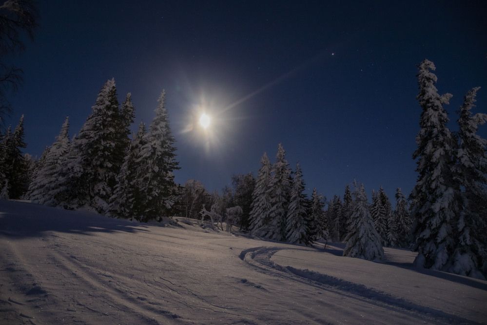 Photograph by Елена Перминова