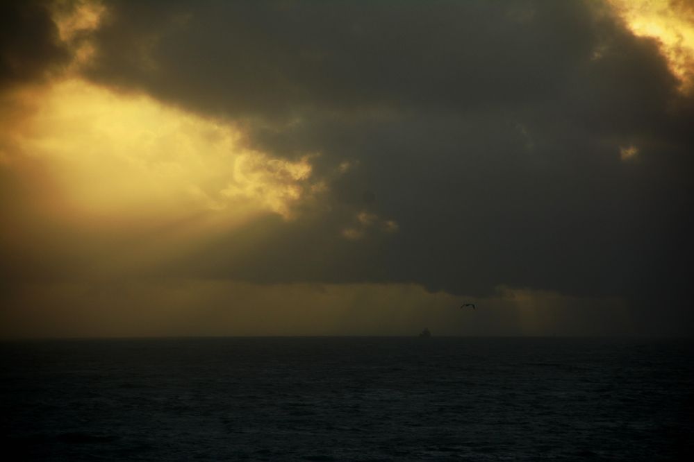 Фотография автора YANN JACOB