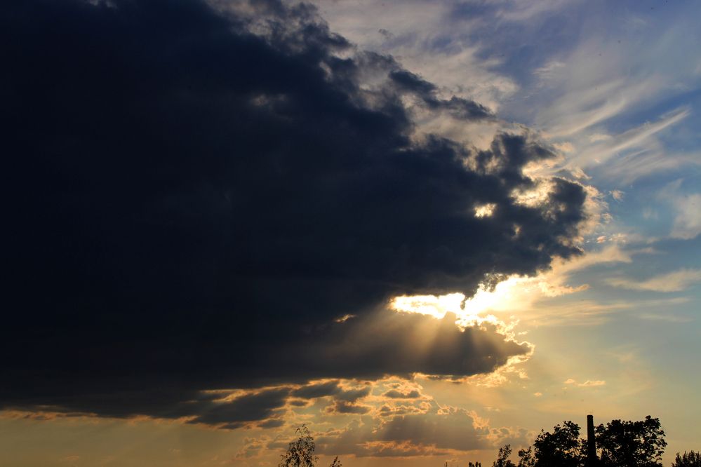 Чтобы жадный Крокодил Солнце в небо воротил!