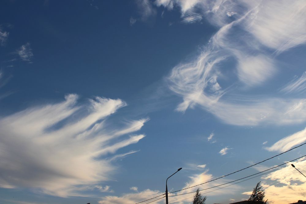 Битва драконов