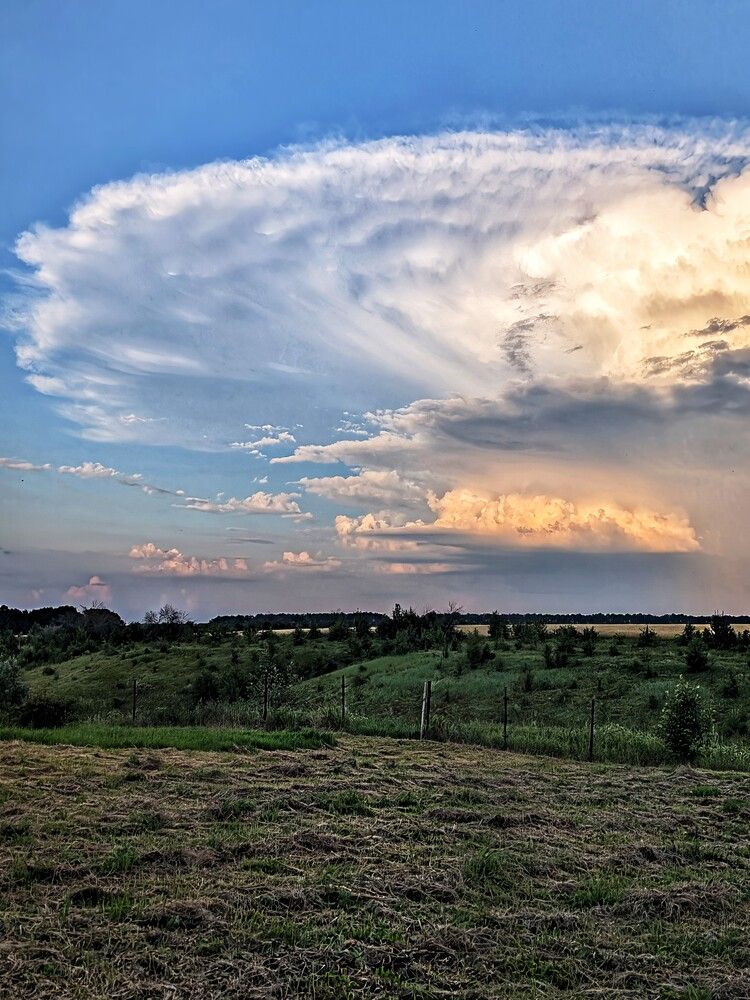 Photograph by Любовь Колмакова