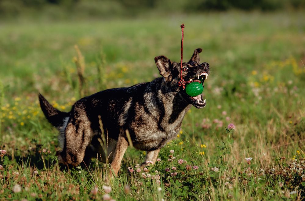 Photograph by Владислава Алексеевна