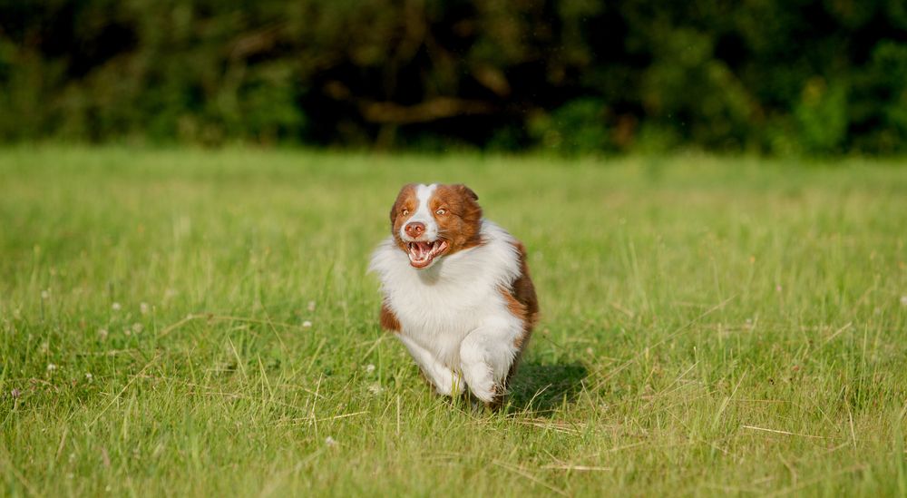 Photograph by Владислава Алексеевна