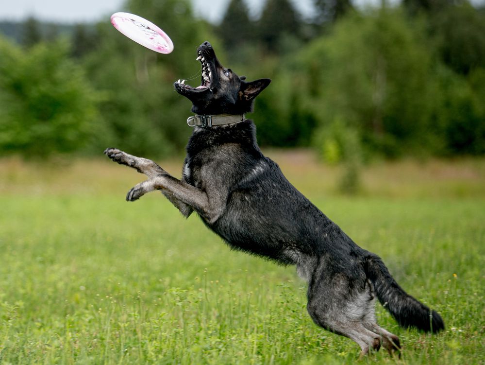 Photograph by Владислава Алексеевна