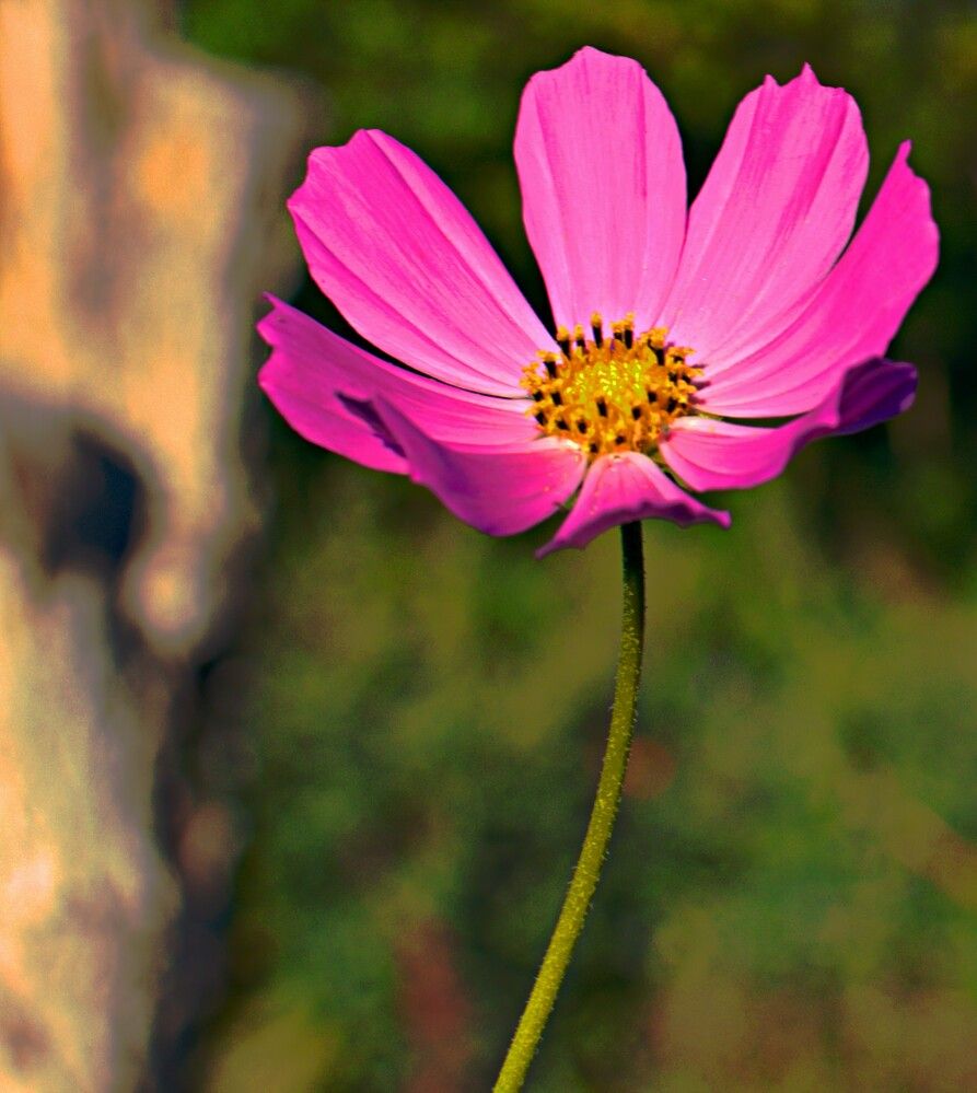 Photograph by Олег Хамуев