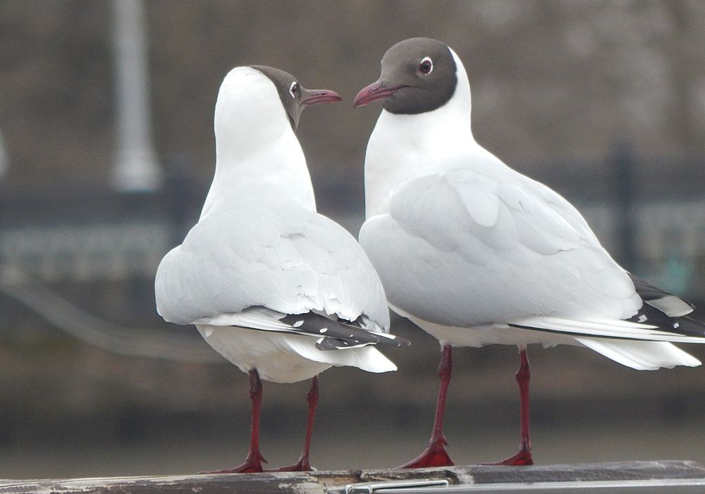 Photograph by Кирилл Елесин