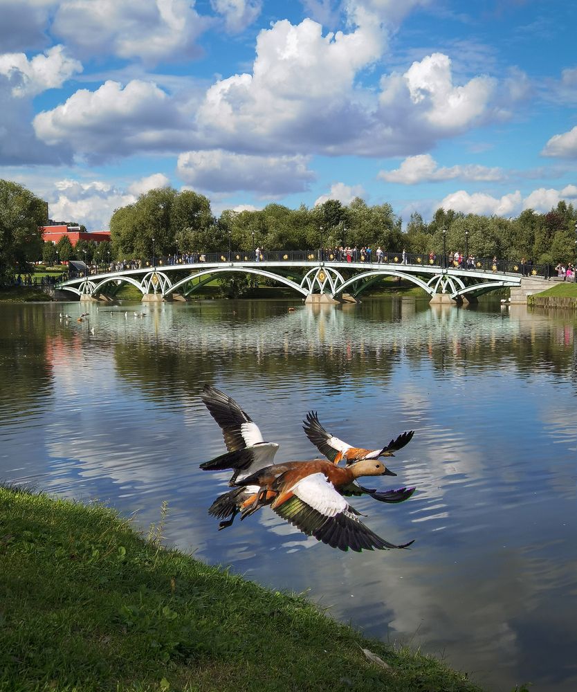 Photograph by Inna Ivanova