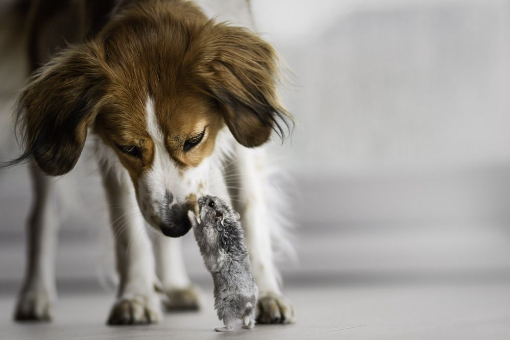 Photograph by Decoodt Els