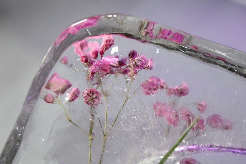 Фотография автора Екатерина Пачина