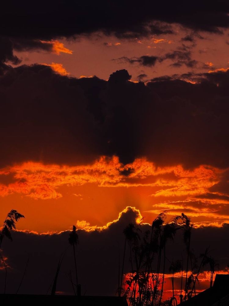 Photograph by Алёна Горошко