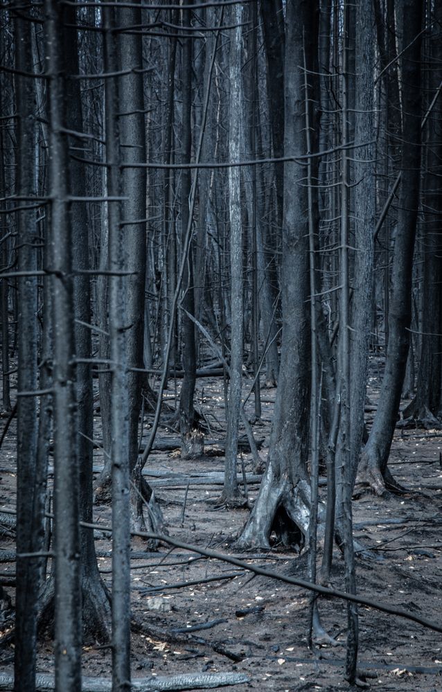 Photograph by Света Назарова