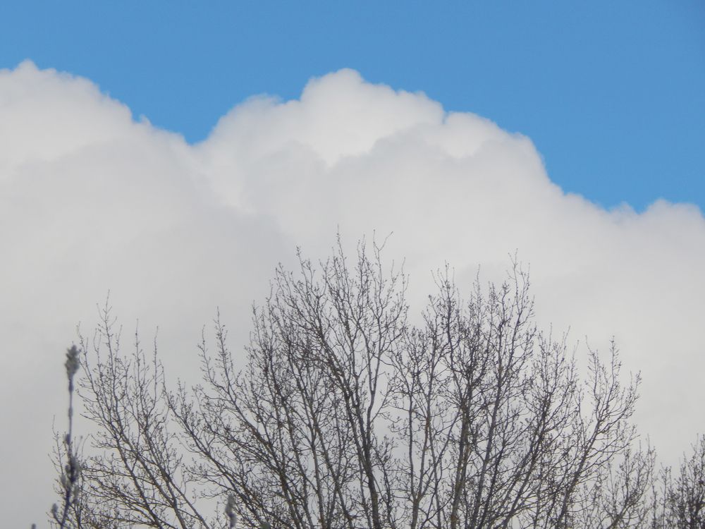 Облака из молока