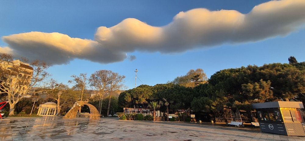 Фотография автора Ольга Мусина