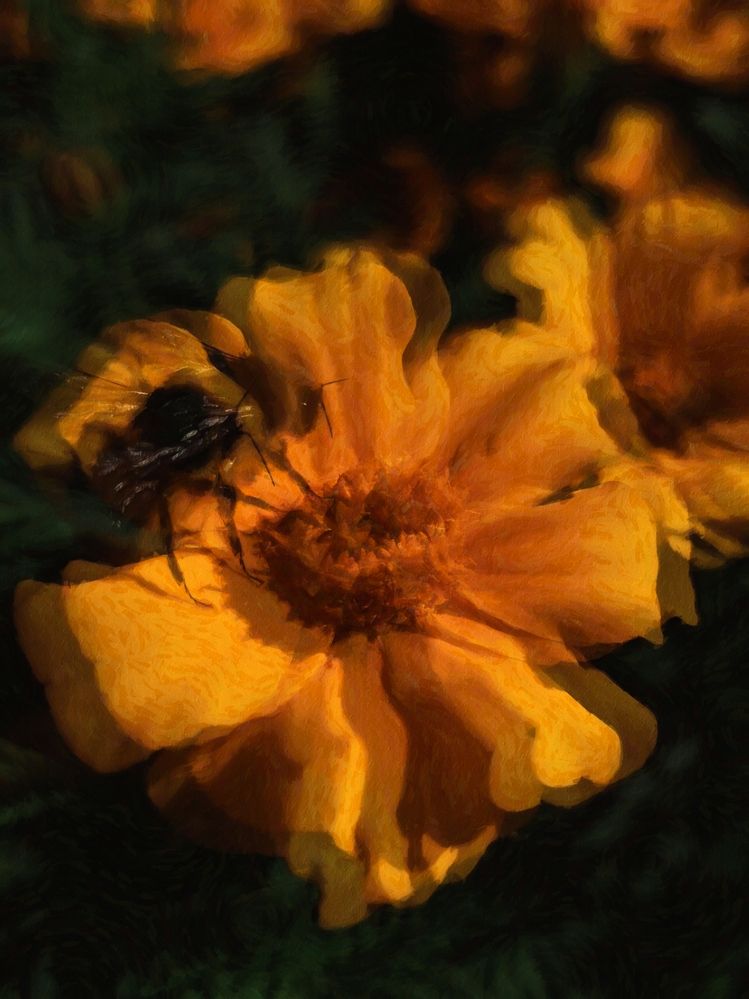 Photograph by Светлана Яковлева